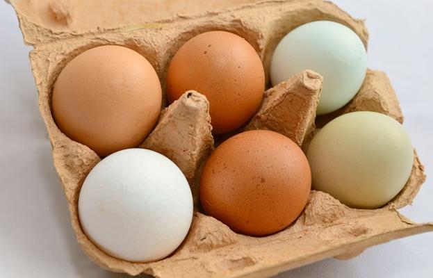 Eier, verschiedene Farben