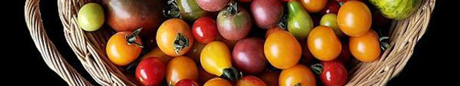 Verschiedene Tomatensorten im Korb ©H.Kühn, Hütschenhausen
